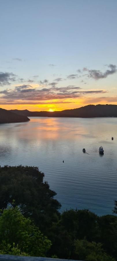 Boho Hill Apartment - Great Barrier Island Escape Okiwi Extérieur photo